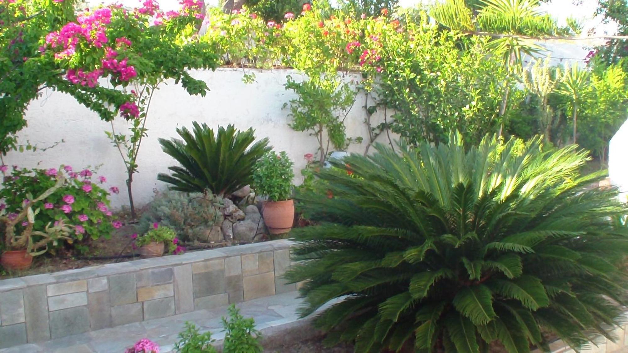Creta Vassakis Studios 2 Kefalos  Exterior photo